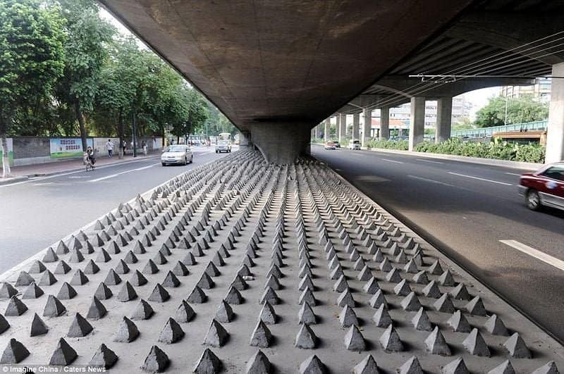 Anti-homeless spikes.